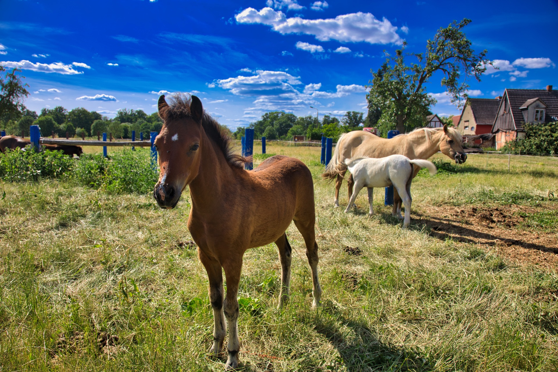 Cafe and farm store "Schäferei Schuster" in Beuster
