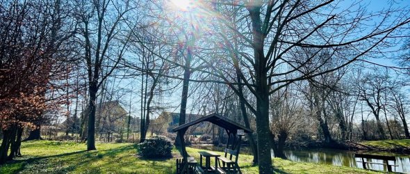 Schönberg Park in the sunshine