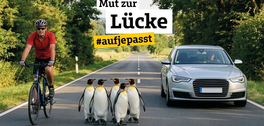 Man on the bike on the road and five penguins limit the distance to the passing car