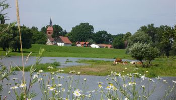 Beusteraner Deichkieker e.V.