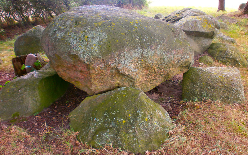 Detail Großsteingrab 1 in Bretsch