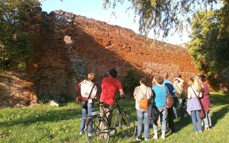 Die Seehäuser Stadtmauer