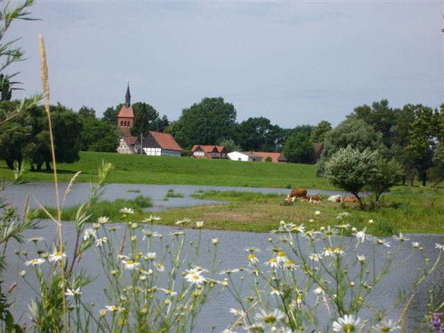Beusteraner Deichkieker e.V.