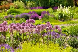 Verein Gartenfreunde Am Ess e.V.