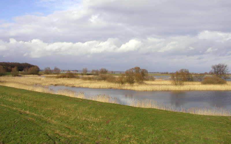 Blick über den Deich