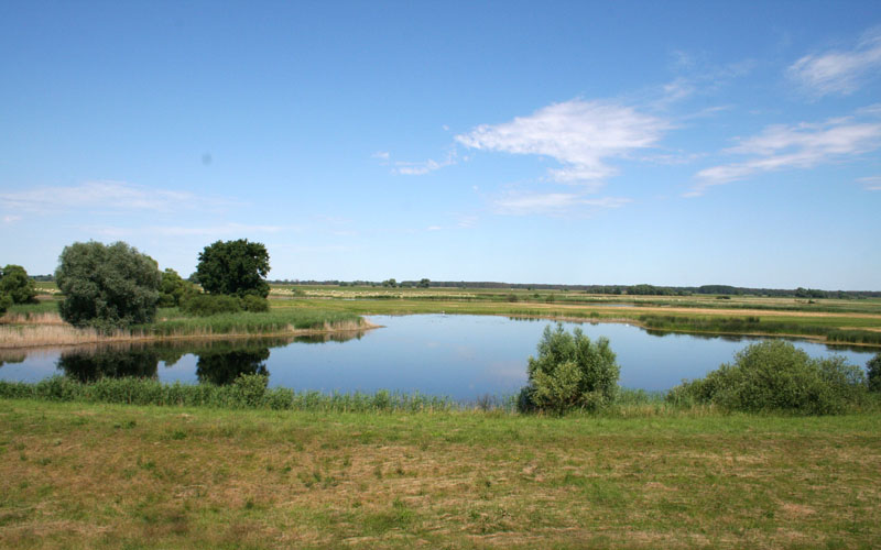 Wasserfläche im Wrechow