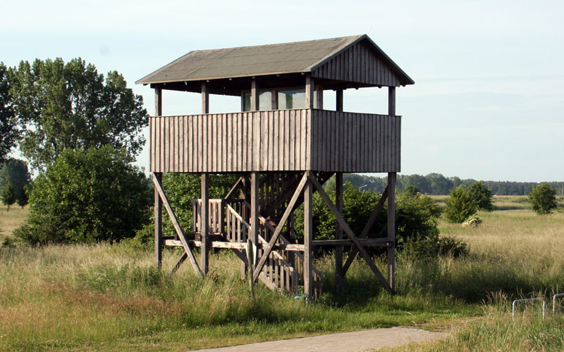Der Aussichtsturm am Wrechow