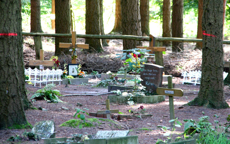 Der Hundefriedhof Barsberge