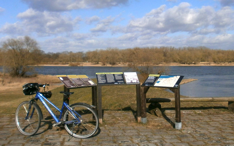 Blick vom Elberadweg