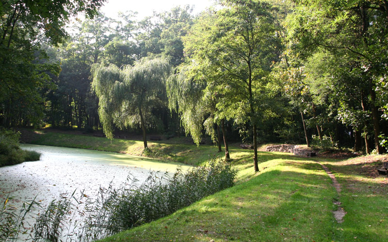 Der Karpfenteich im Schillerhain