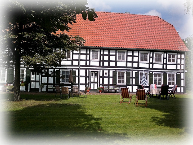 "Hof Eichfeld" Shagya-Araber-Gestüt in Beuster
