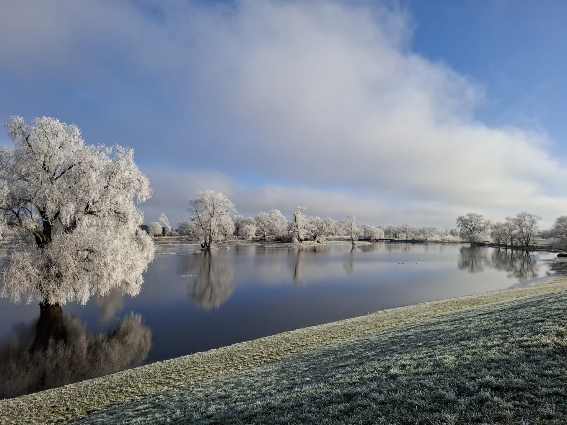 Blick auf winterliche Elbwiesen in Beuster