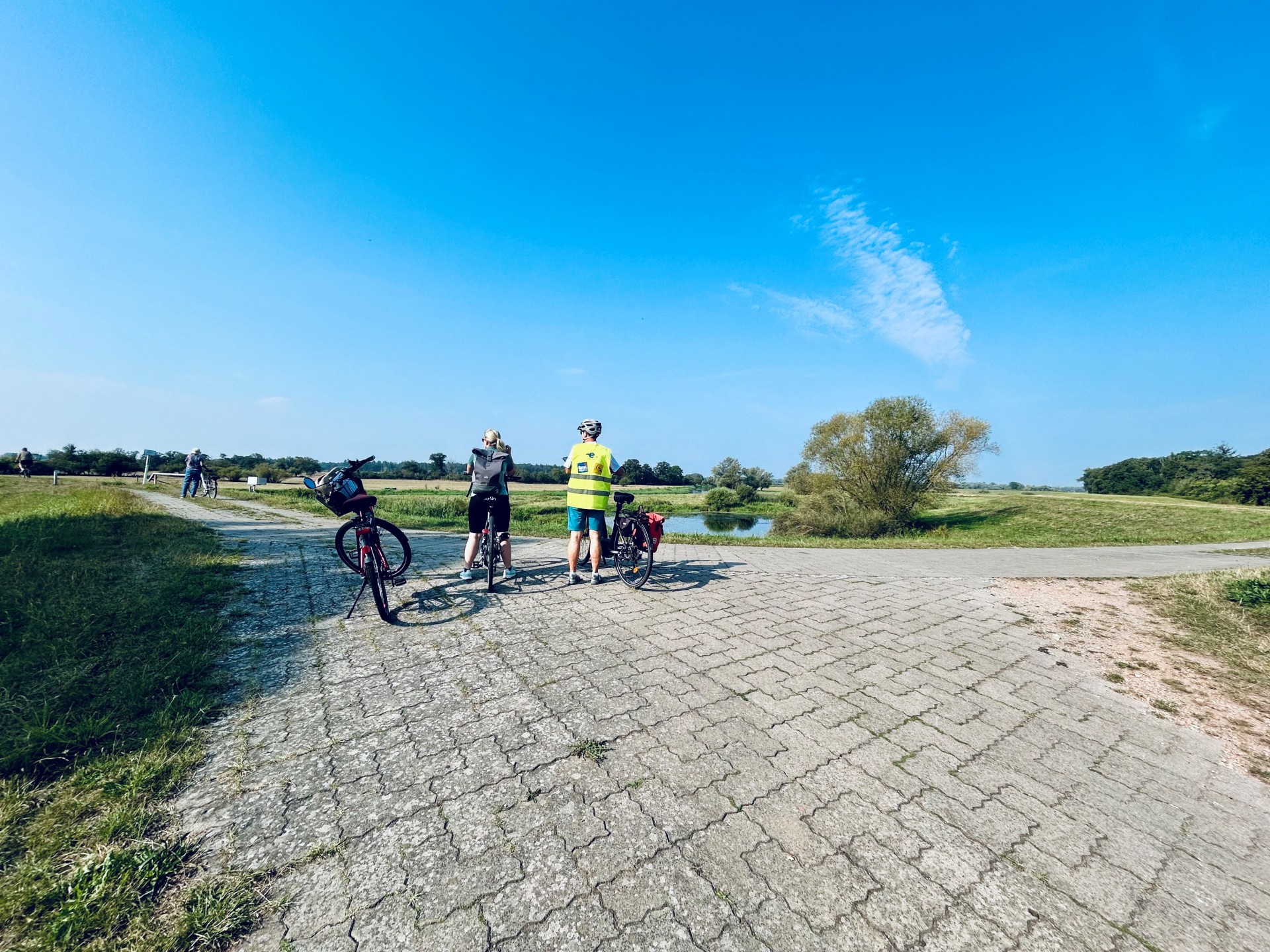 Radfahrer am Alanddeich auf dem Elberadweg