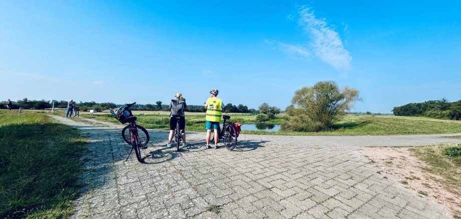 Radfahrer am Alanddeich auf dem Elberadweg