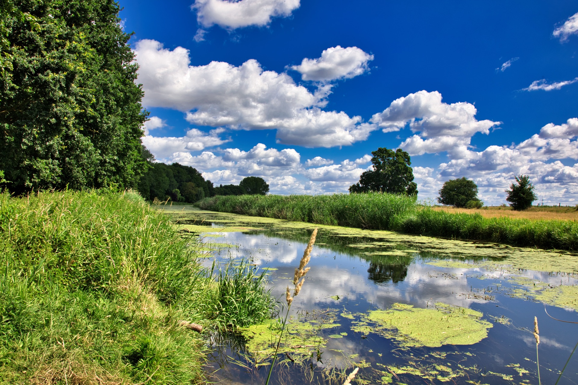 Schillerhain in Seehausen Schillerhain in Seehausen