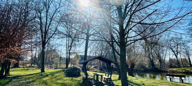 Schönberger Park im Sonnenschein