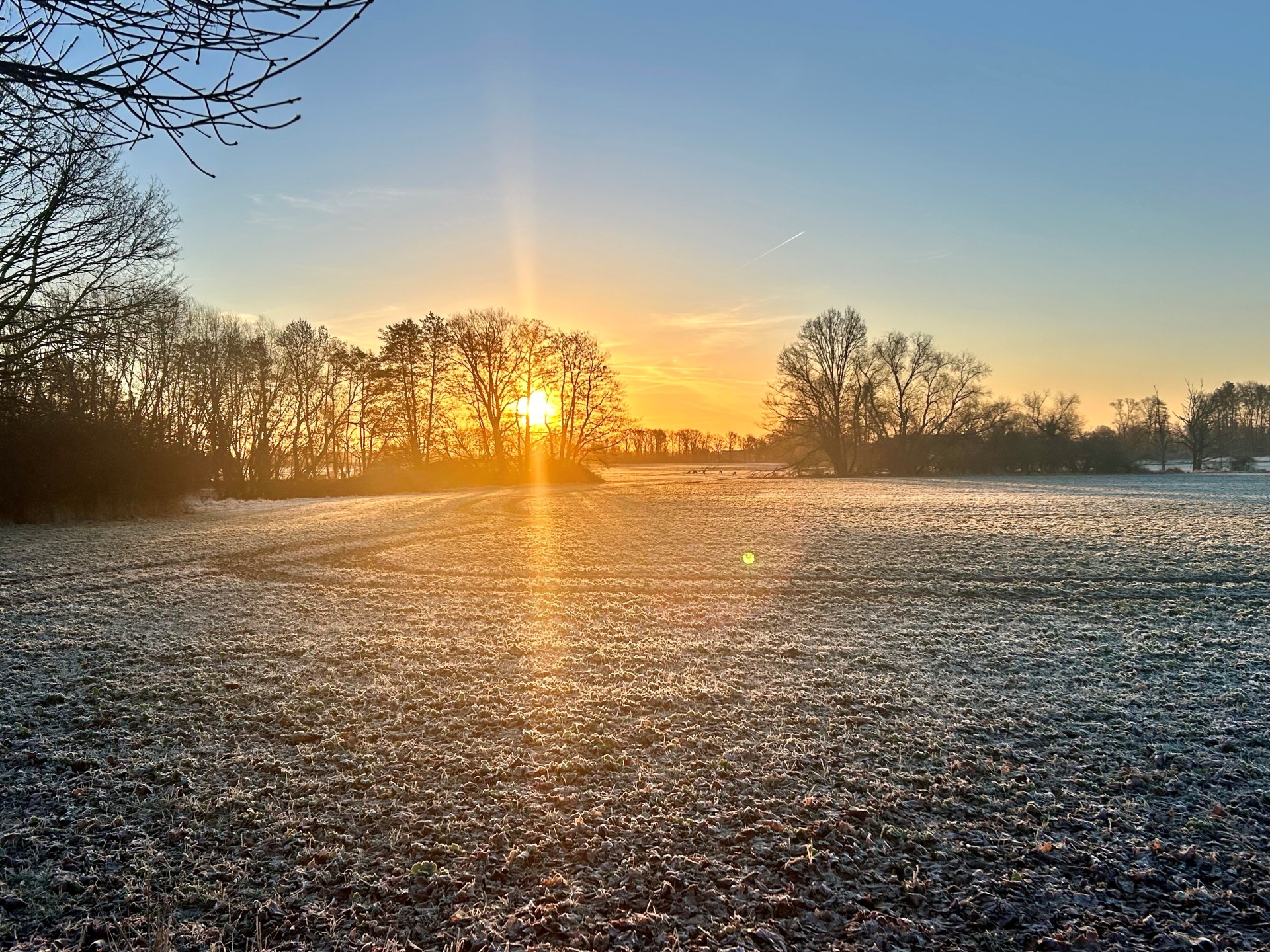 Sonnenaufgang in Vielbaum mit Rehen im Hintergrund 