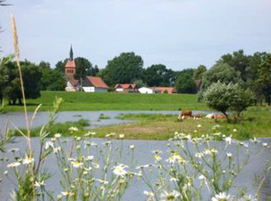Blick auf Beuster mit Dorfkirche